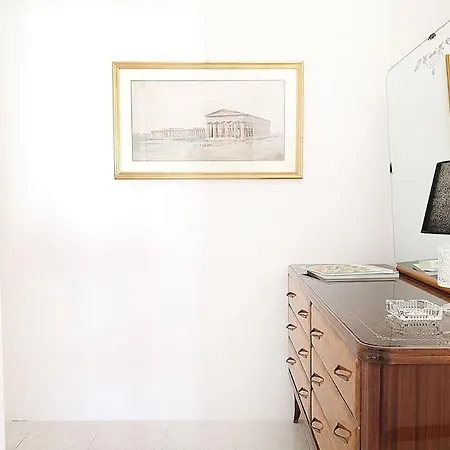 Art Gallery With Terrace